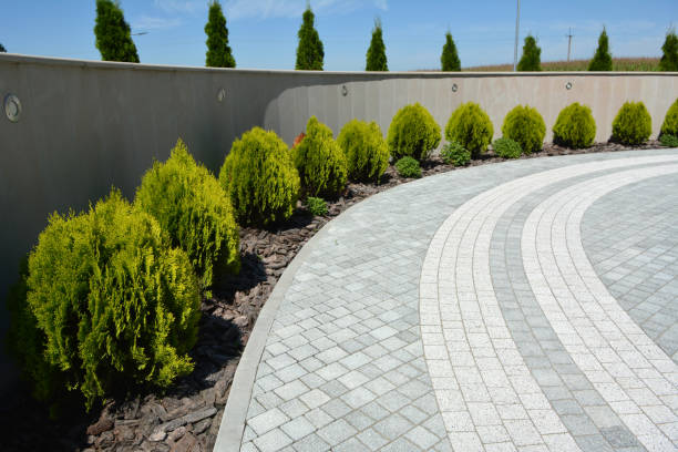 Dexter, NM Driveway Pavers Company