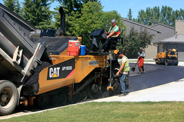 Best Local Driveway Pavers  in Dexter, NM